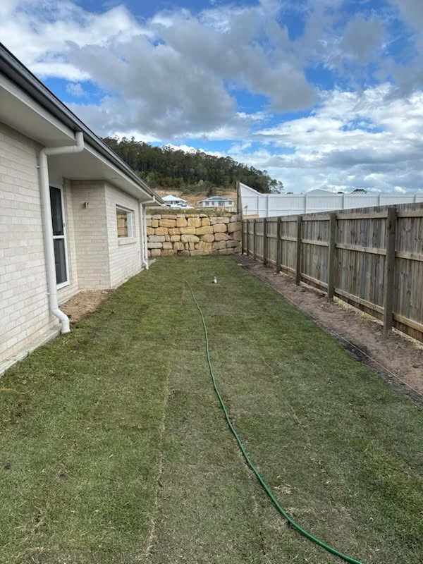 Lawn area after turfing